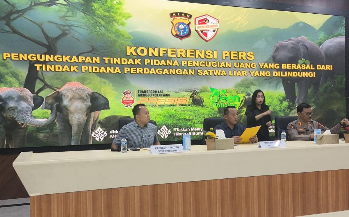 Dua Tersangka Perdagangan Gading Gajah di Riau Dikenakan TPPU