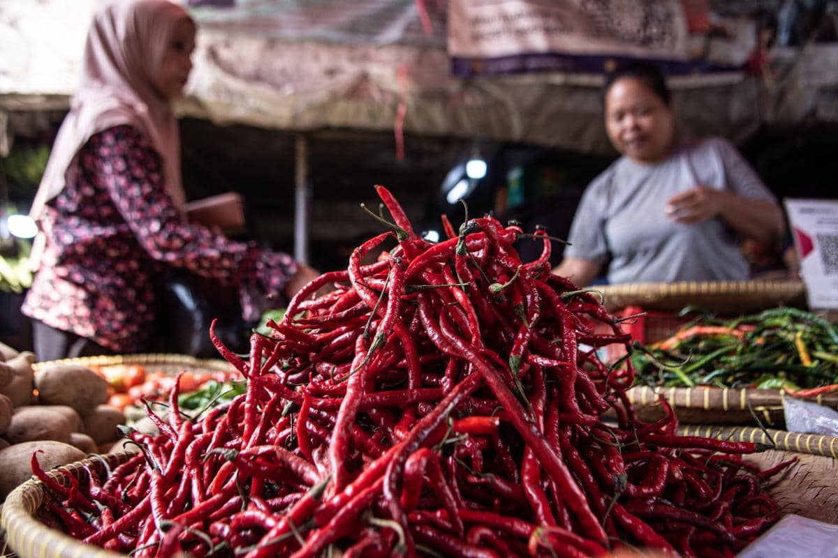 Pedagang cabai melayani pembeli di pasar tradisional. (ANTARA FOTO/Novrian Arbi/)