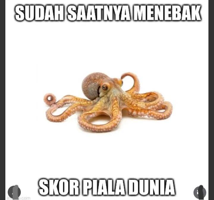 meme Piala Dunia 2026
