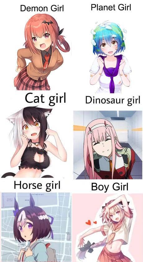 meme anime tentang tipe cewek