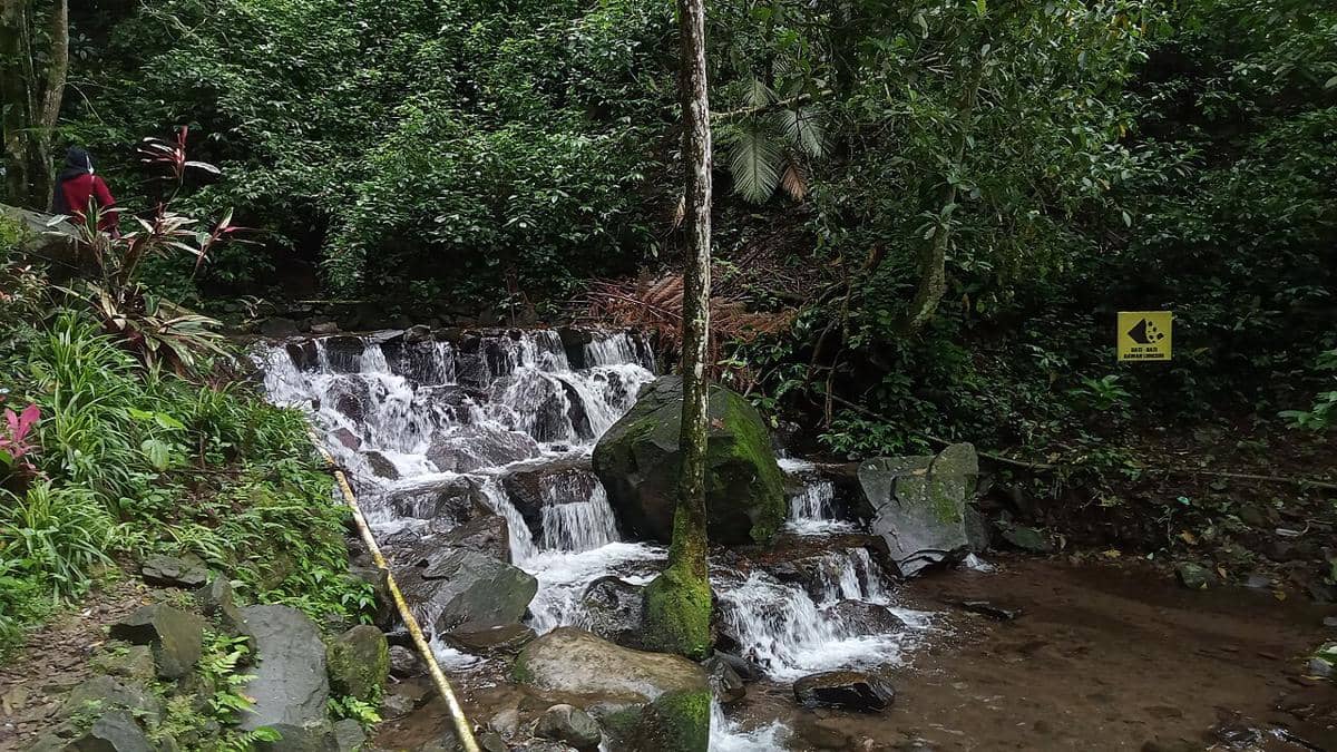 ilustrasi air terjun