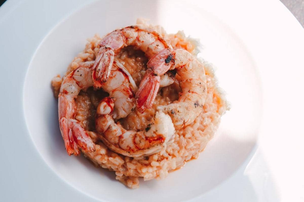 ilustrasi arroz con camarones
