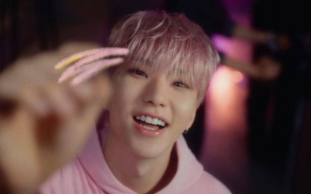 Hoshi SEVENTEEN 