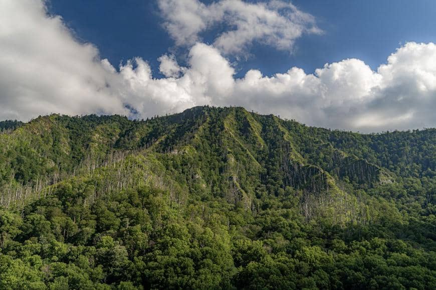 ilustrasi Great Smoky Mountains National Park