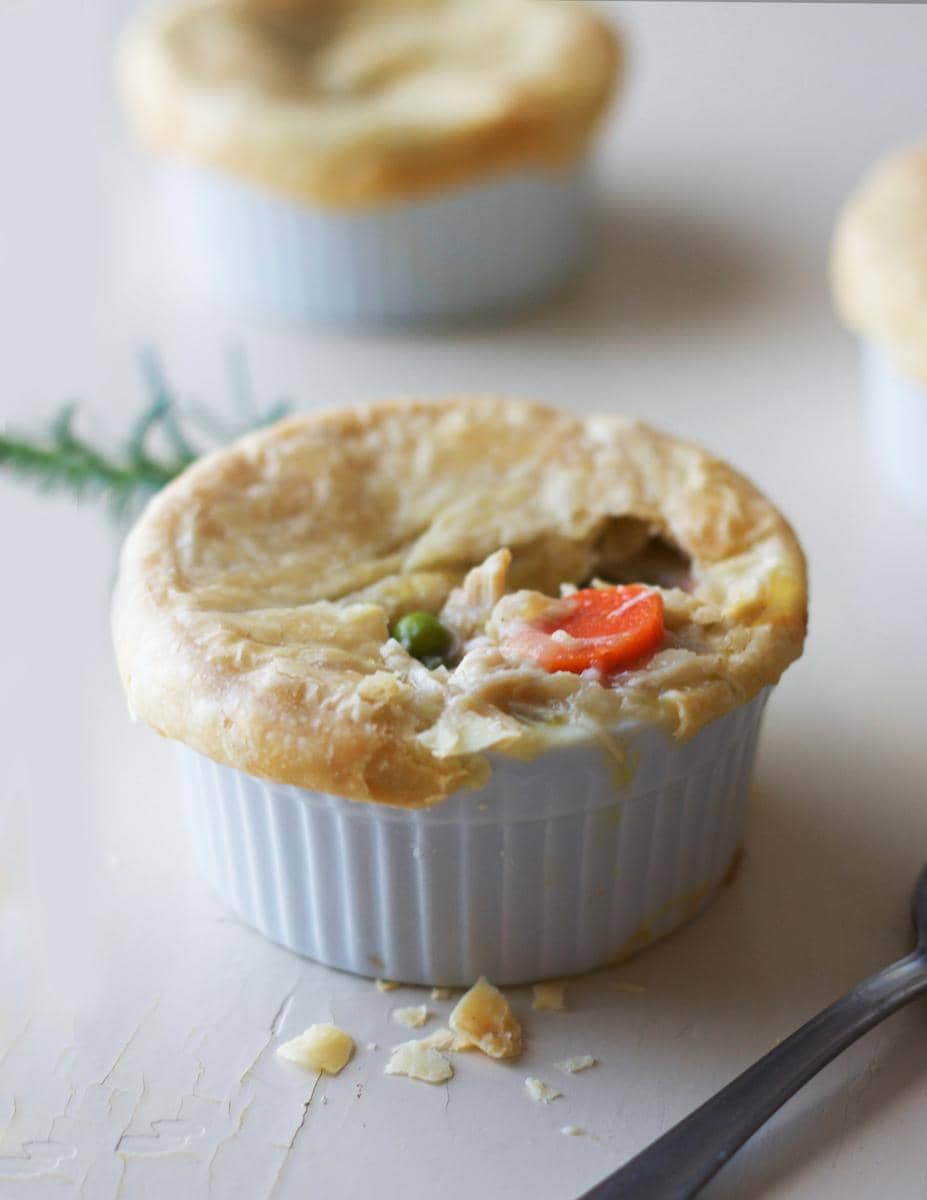 ilustrasi chicken pot pie