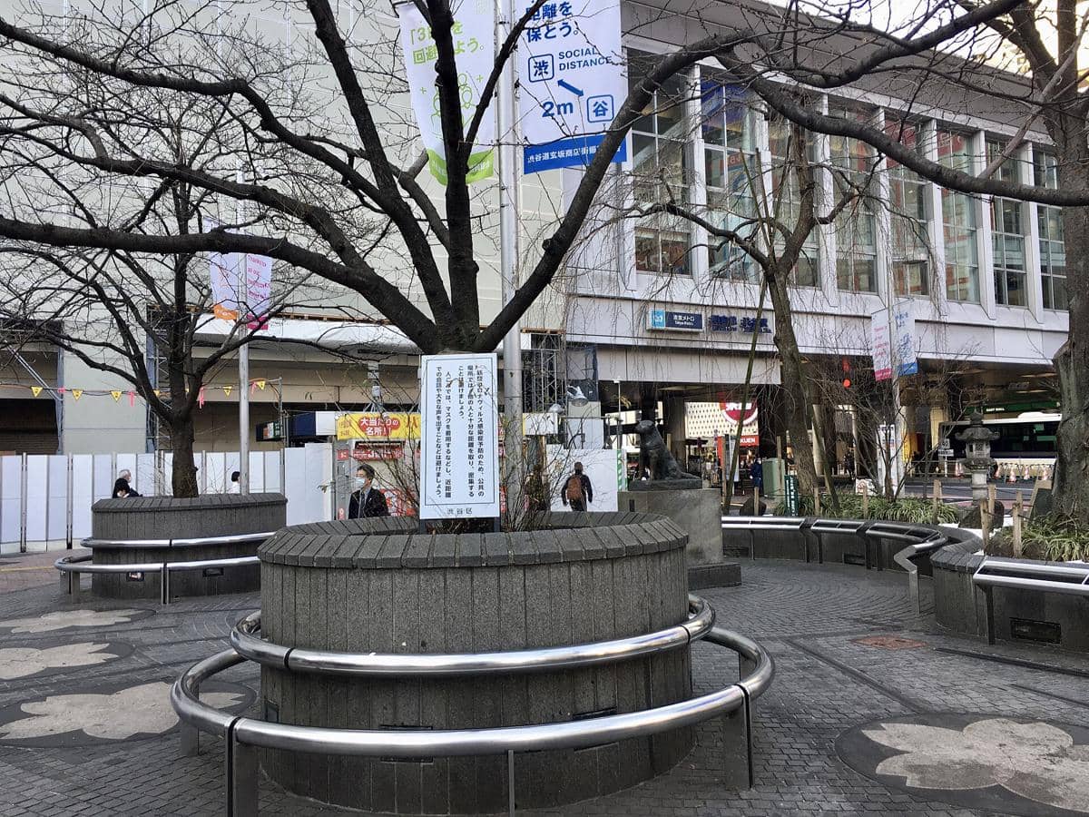 Potret Hachiko Square