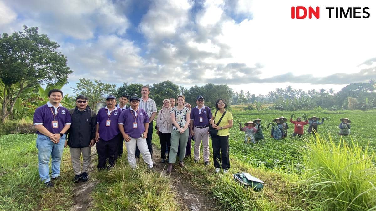 Tim ACIAR, peneliti dan para petani kangkung Desa Dasan Tereng, Lombok, NTB. (IDN Times/Marcheilla Ariesta)