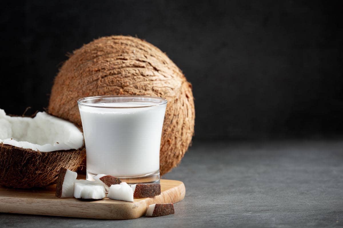 7 Tips Menyimpan Santan Sisa agar Tetap Segar dan Tidak Cepat Basi