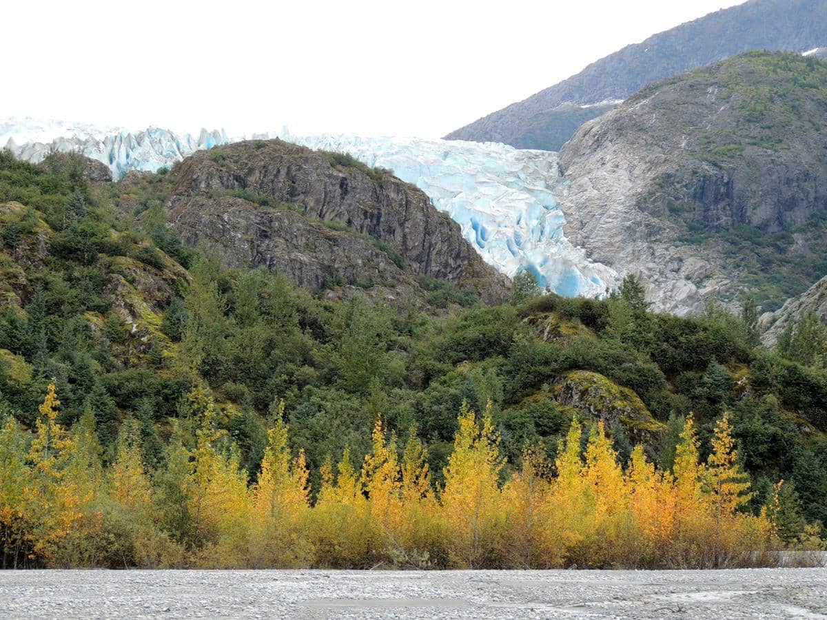 Hutan Hujan Tongass Alaska