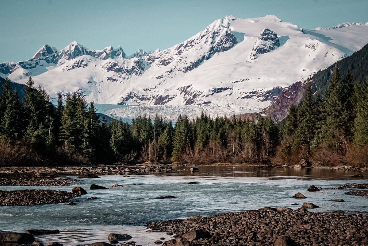 5 Fakta Menarik Hutan Hujan Tongass Alaska, Hutan Terluas di Amerika