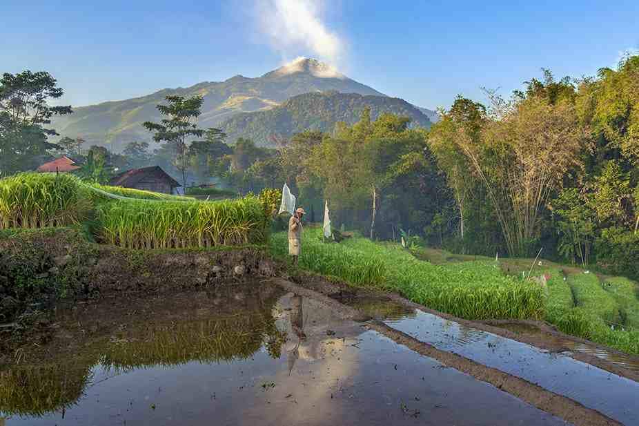 foto Gunung Arjuno Welirang 