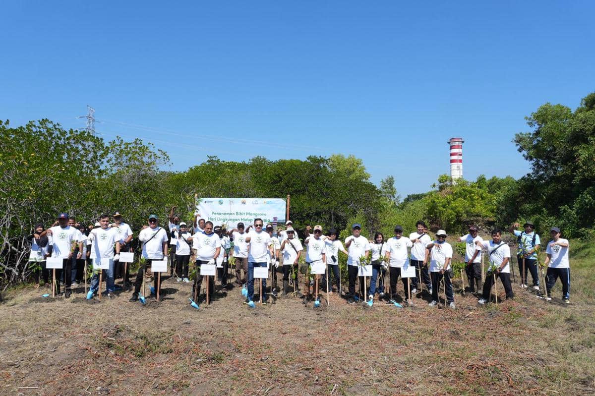 Dukung Target Net Zero Emission, PLN IP Perluas Program Penghijauan