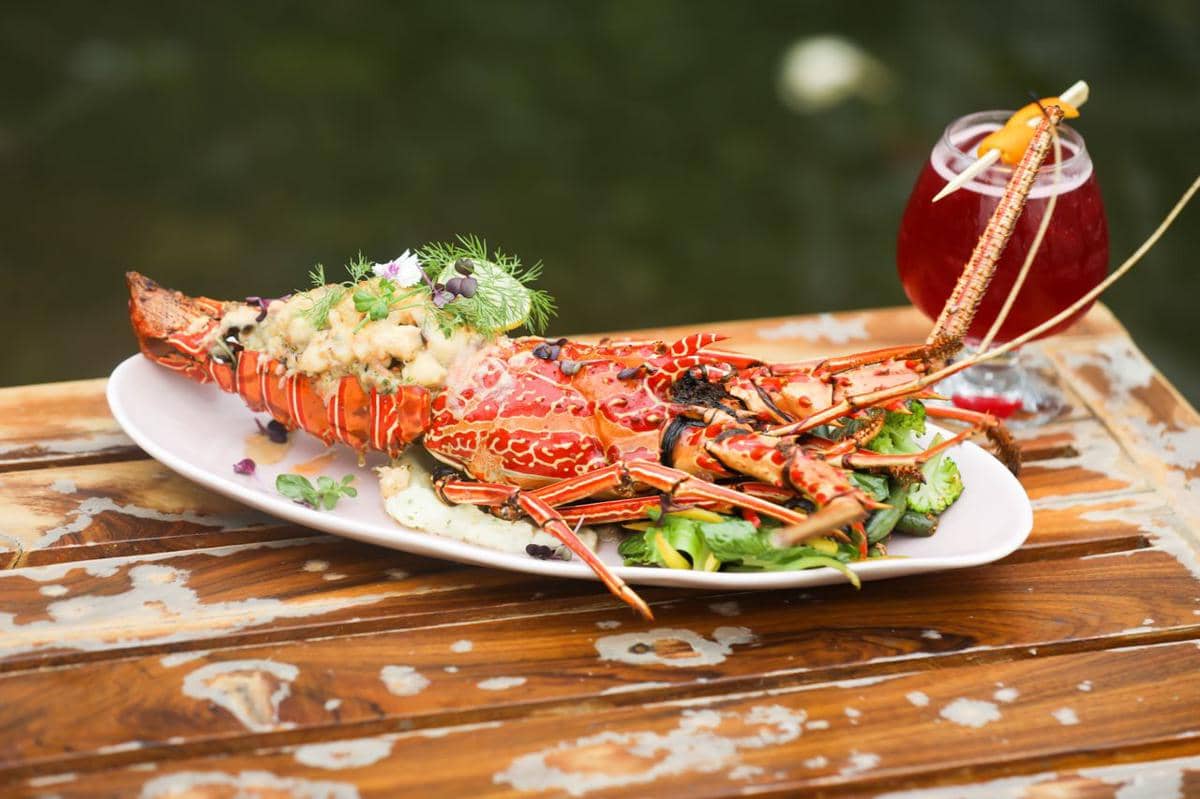 Resep Lobster Thermidor, Sajian Resto Bintang Lima di Dapur Sendiri