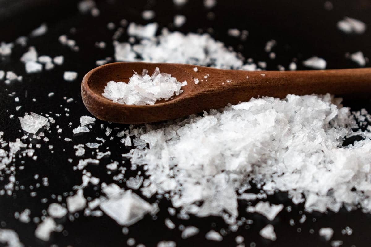 ilustrasi sea salt