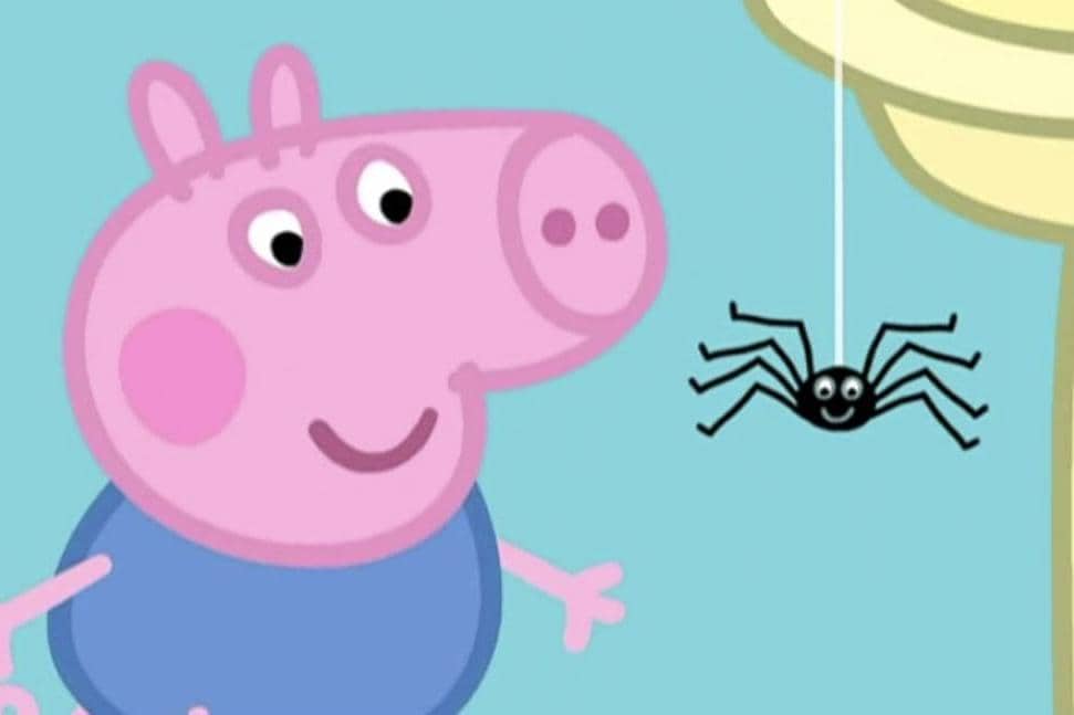 Peppa Pig - “Mister Skinnylegs”