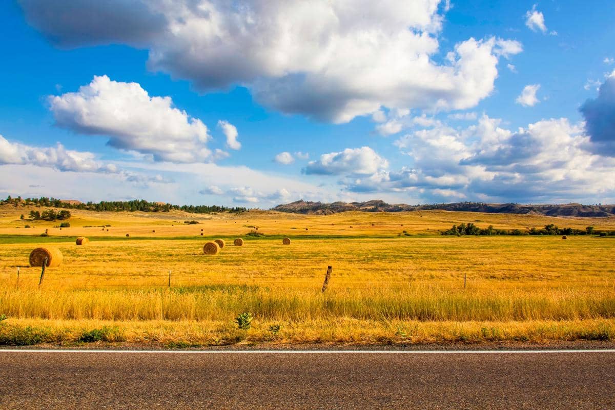 5 Fakta Great Plains, Padang Rumput Luas yang Jadi Rumah Bison