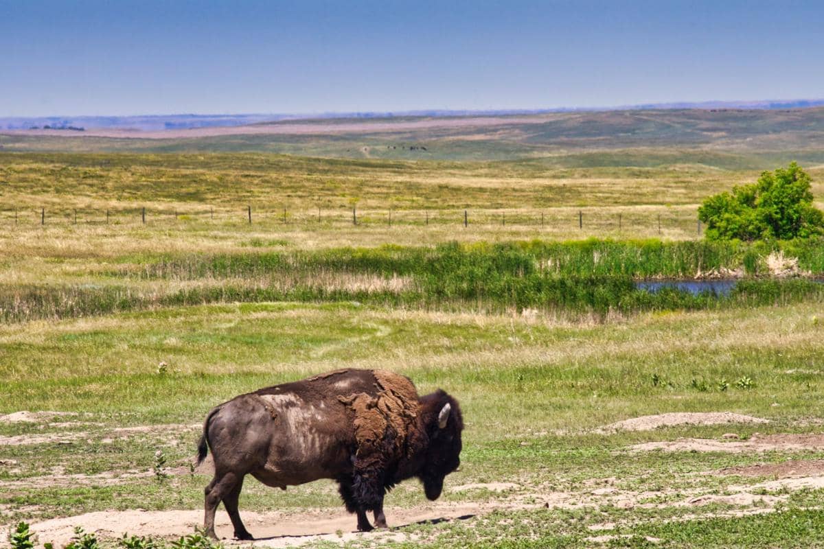 Great Plains