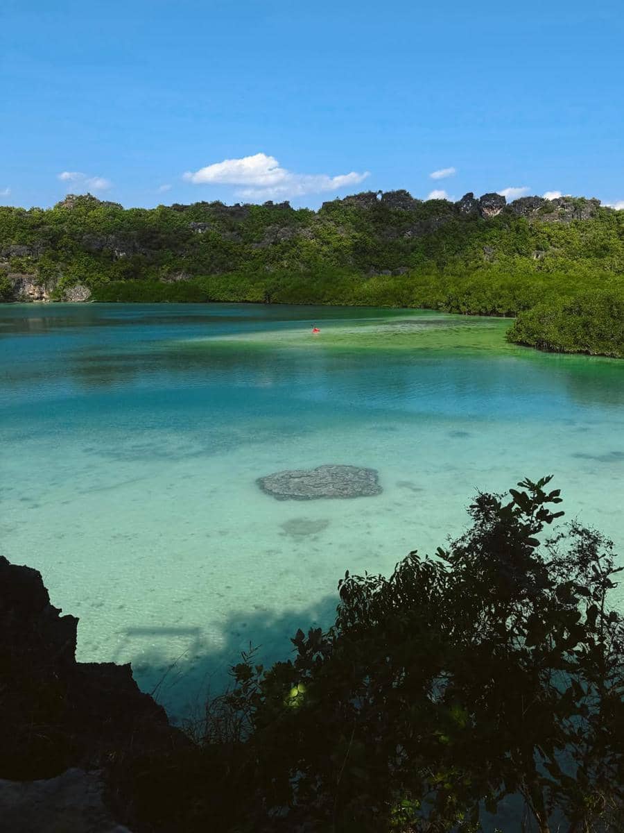 Pemandangan Telaga Nirwana di Nusa Tenggara Timur dengan air berwarna biru kehijauan dikelilingi pepohonan hijau dan langit cerah.