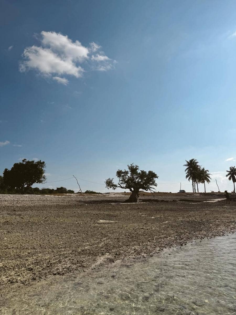 Pemandangan Telaga Nirwana di Nusa Tenggara Timur dengan air jernih, pepohonan di tepi pantai, dan langit biru cerah.