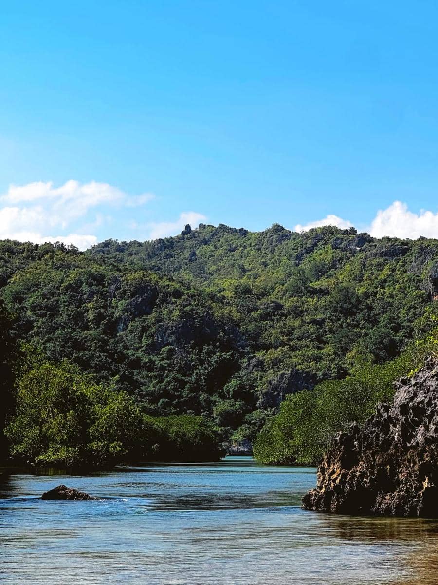 Pemandangan Telaga Nirwana di Nusa Tenggara Timur dengan air jernih, pepohonan hijau, dan langit biru cerah di latar belakang.