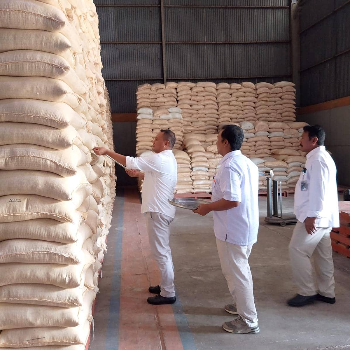 Bulog Bali Pastikan Stok Pangan Aman 10 Bulan ke Depan