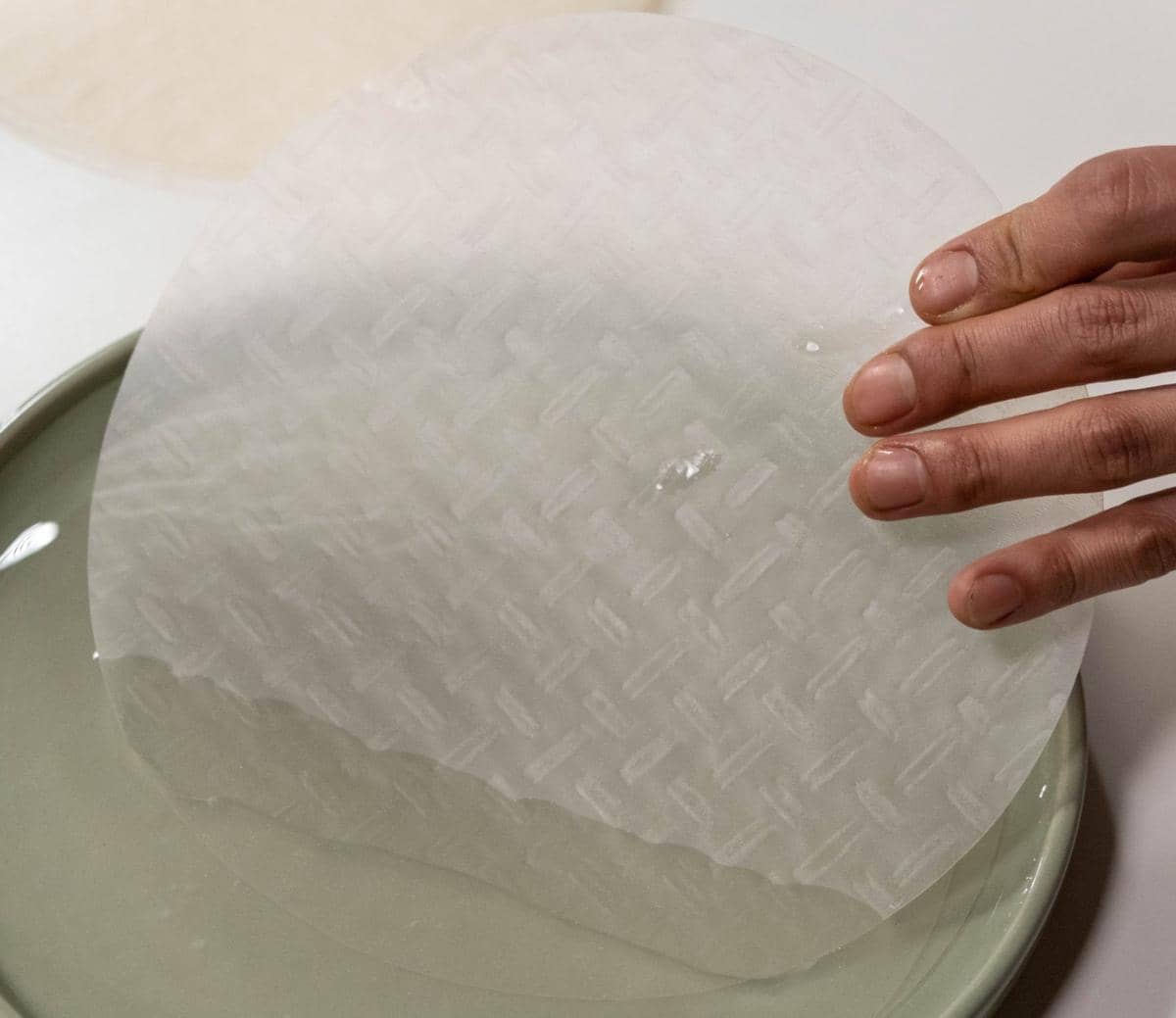 ilustrasi rice paper