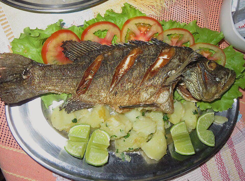 Sebagian ikan peacock bass juga dikonsumsi