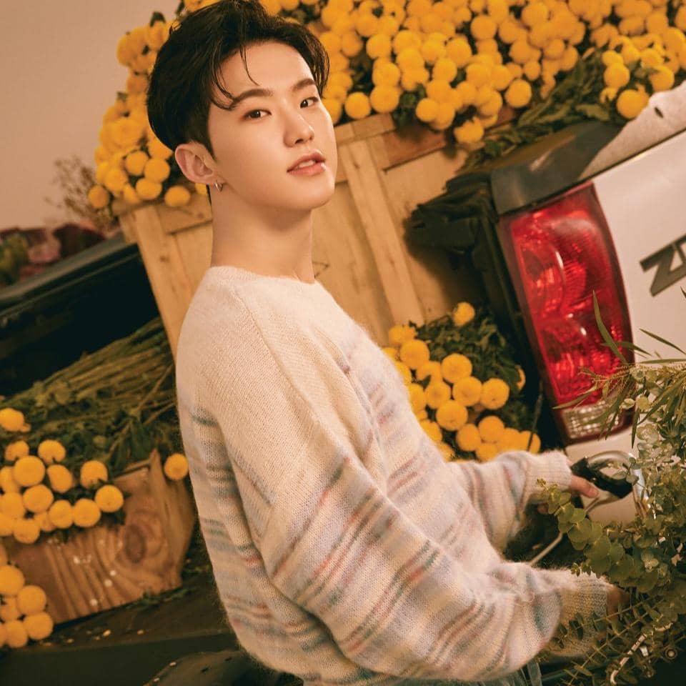 Hoshi SEVENTEEN 