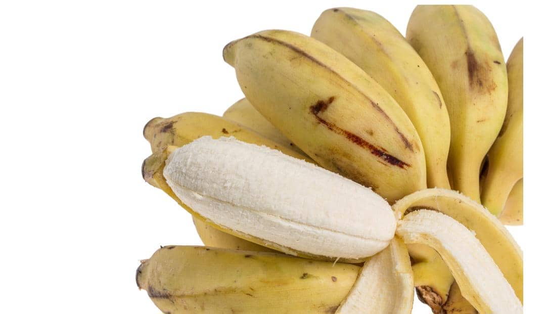 Beberapa buah pisang uli berwarna kuning dengan satu buah yang sudah dikupas sebagian memperlihatkan daging buahnya yang putih.