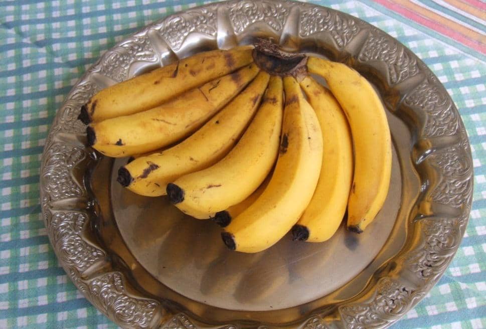 ilustrasi pisang nangka (commons.wikimedia.org/Deyvid Aleksandr Raffo Setti)