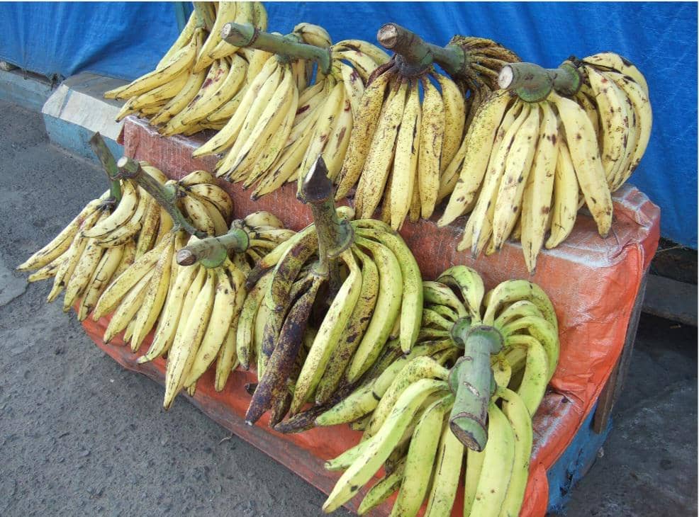 Beberapa tandan pisang tanduk berukuran besar dengan kulit kuning kehijauan ditata di atas meja berlapis terpal di pasar tradisional.