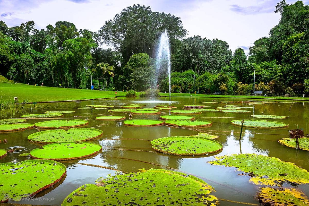 7 Wisata Seru di Bawah Rp100 Ribu Buat Liburan Sekolah