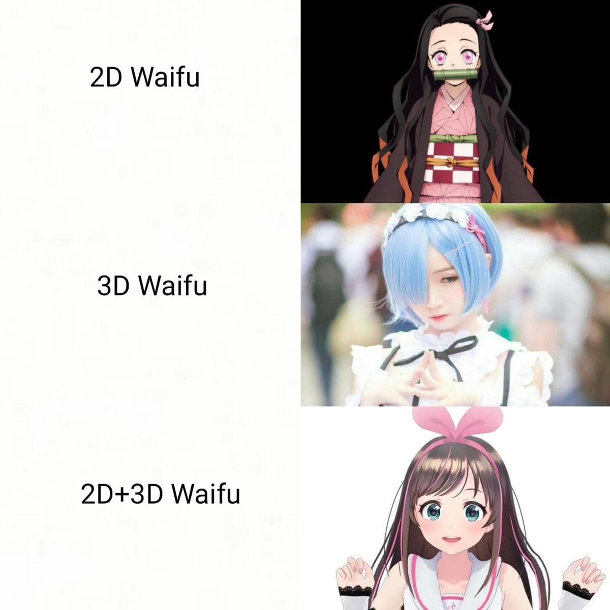 meme anime tentang tipe