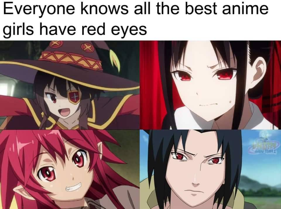 meme anime tentang tipe