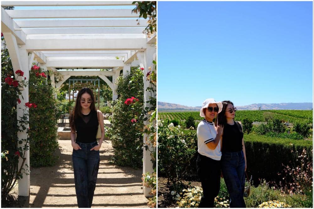 10 Potret Natasha Wilona Berkeliling Kebun Anggur di Napa Valley
