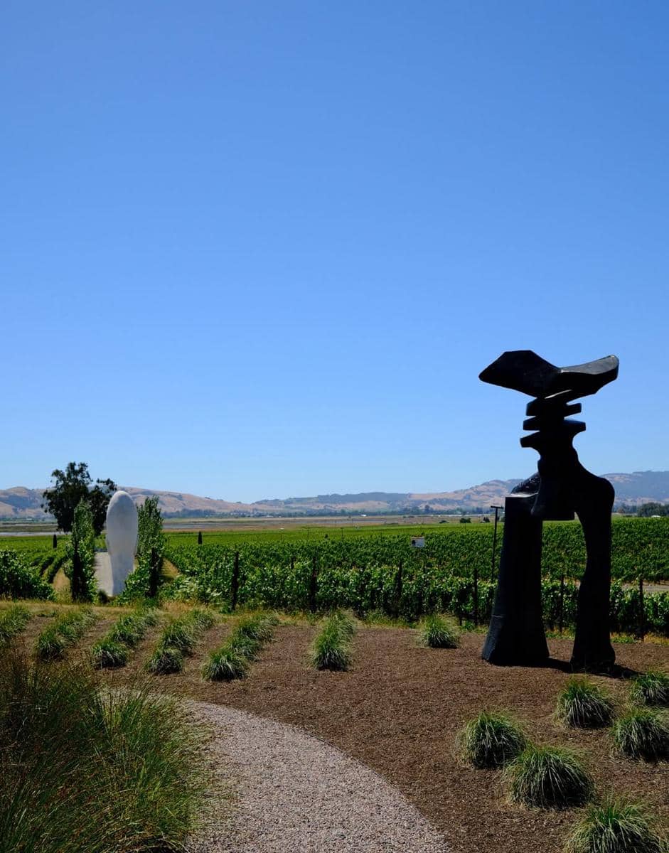 Natasha Wilona jalan-jalan di kebun anggur Napa Valley