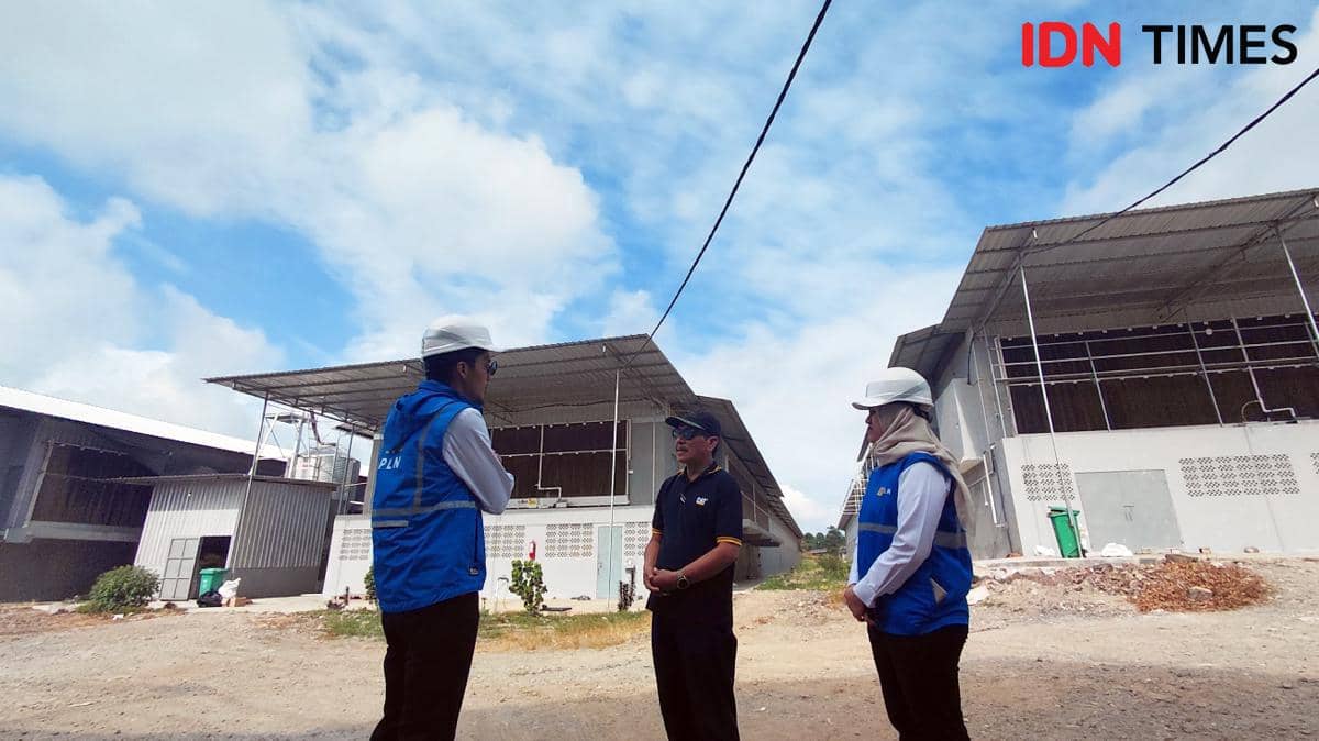 Mengunjungi Mario: Ketika Listrik Jadi Denyut Baru Lumbung Telur Sidrap