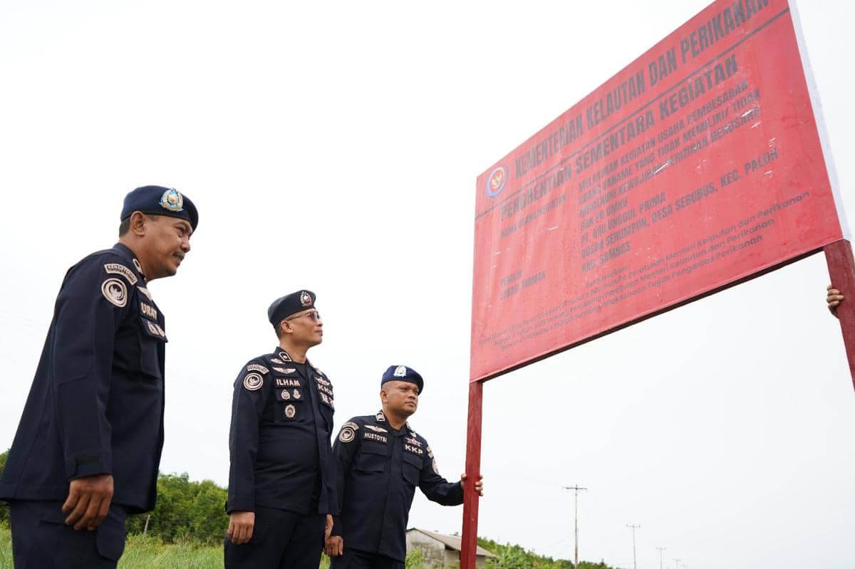 Gunakan Obat Ikan Tak Terdaftar, Empat Tambak Udang di Kalbar Disetop