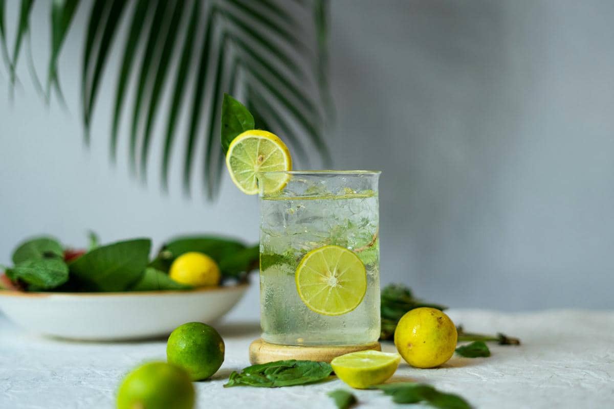 Potret lime squash