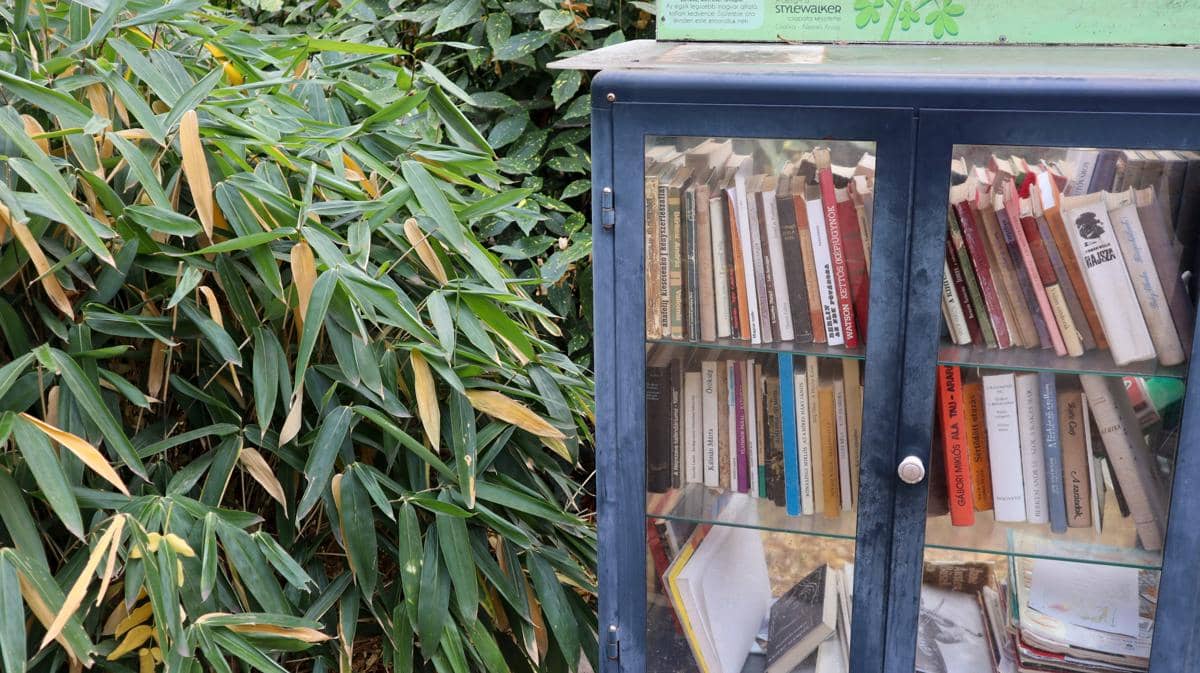 Ilustrasi Perpustakaan Mini