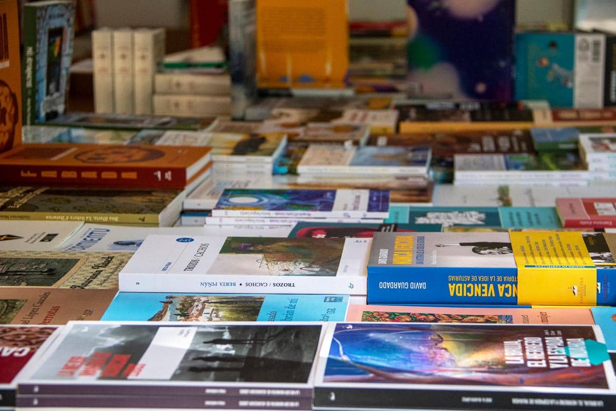 Tumpukan berbagai buku dengan sampul berwarna-warni tersusun rapi di atas meja, menampilkan beragam judul dan genre bacaan.