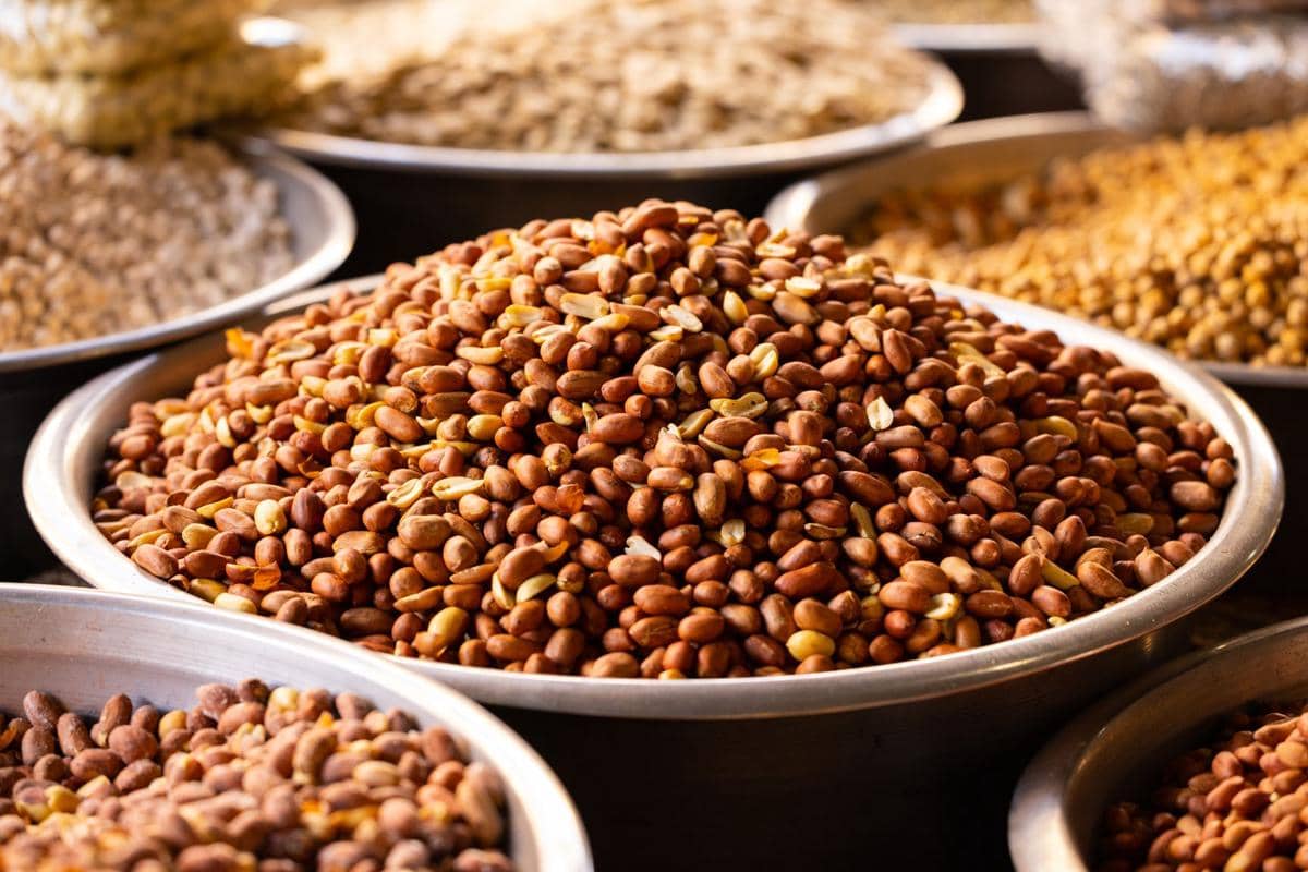 Tumpukan kacang panggang berwarna cokelat dalam wadah logam besar di pasar dengan latar berbagai jenis biji-bijian.