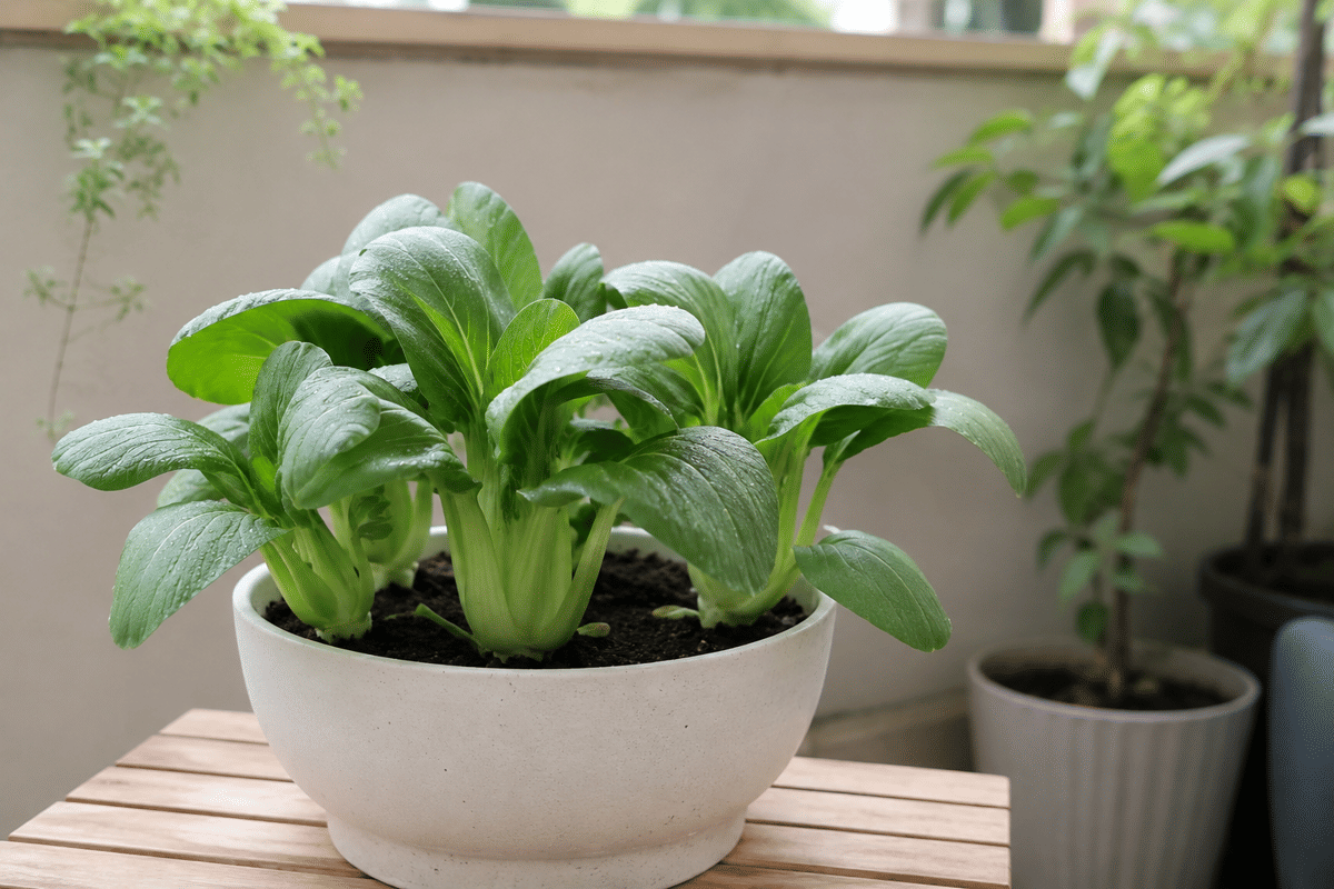 5 Trik Memilih Pot Minimalis Sesuai dengan Jenis Tanaman