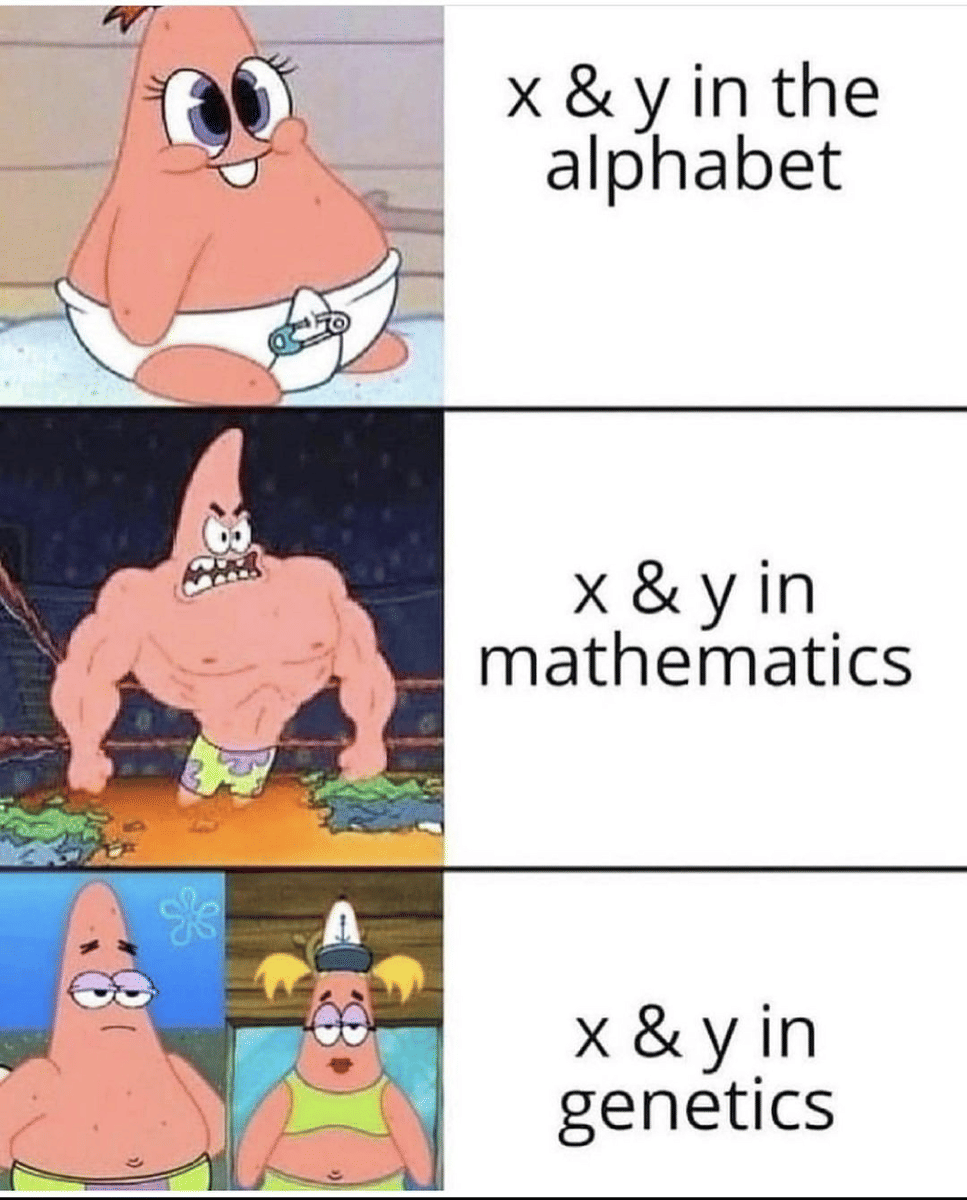 meme kartun tentang aljabar