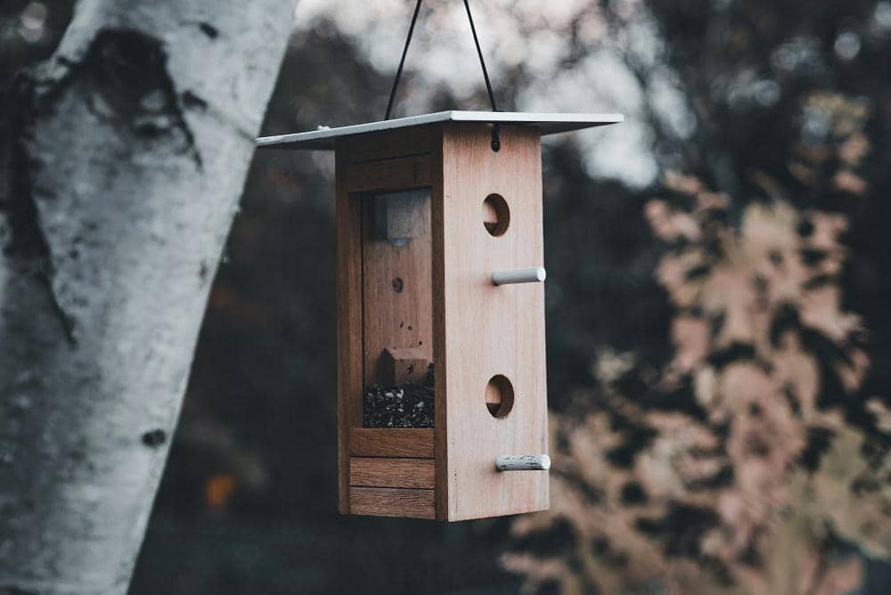 Tempat pakan burung kayu berbentuk persegi panjang tergantung di dahan pohon dengan latar belakang dedaunan kabur.