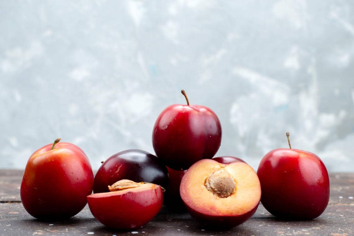 ilustrasi plum