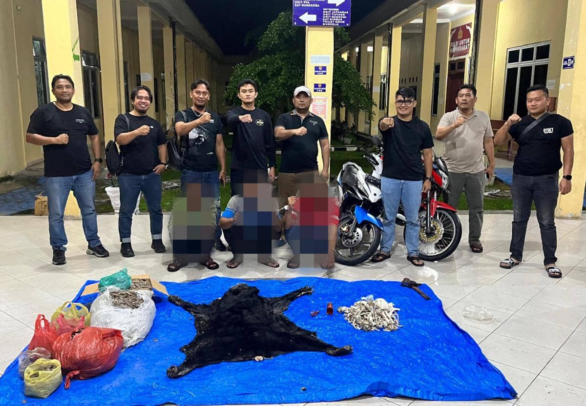 Kulit Beruang hingga Paruh Rangkong Diperdagangkan, 3 Pelaku Diciduk