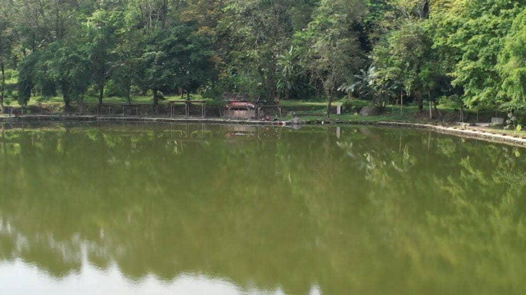 Seorang pemancing beraktivitas di tepi Situ Pajaten, Cirebon, dengan latar pepohonan hijau yang rindang di sekitar danau.