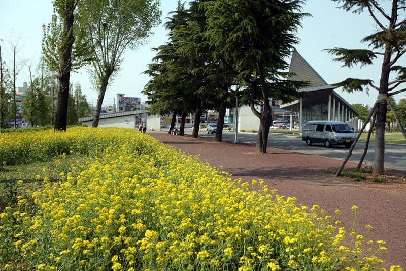 Yeungnam University