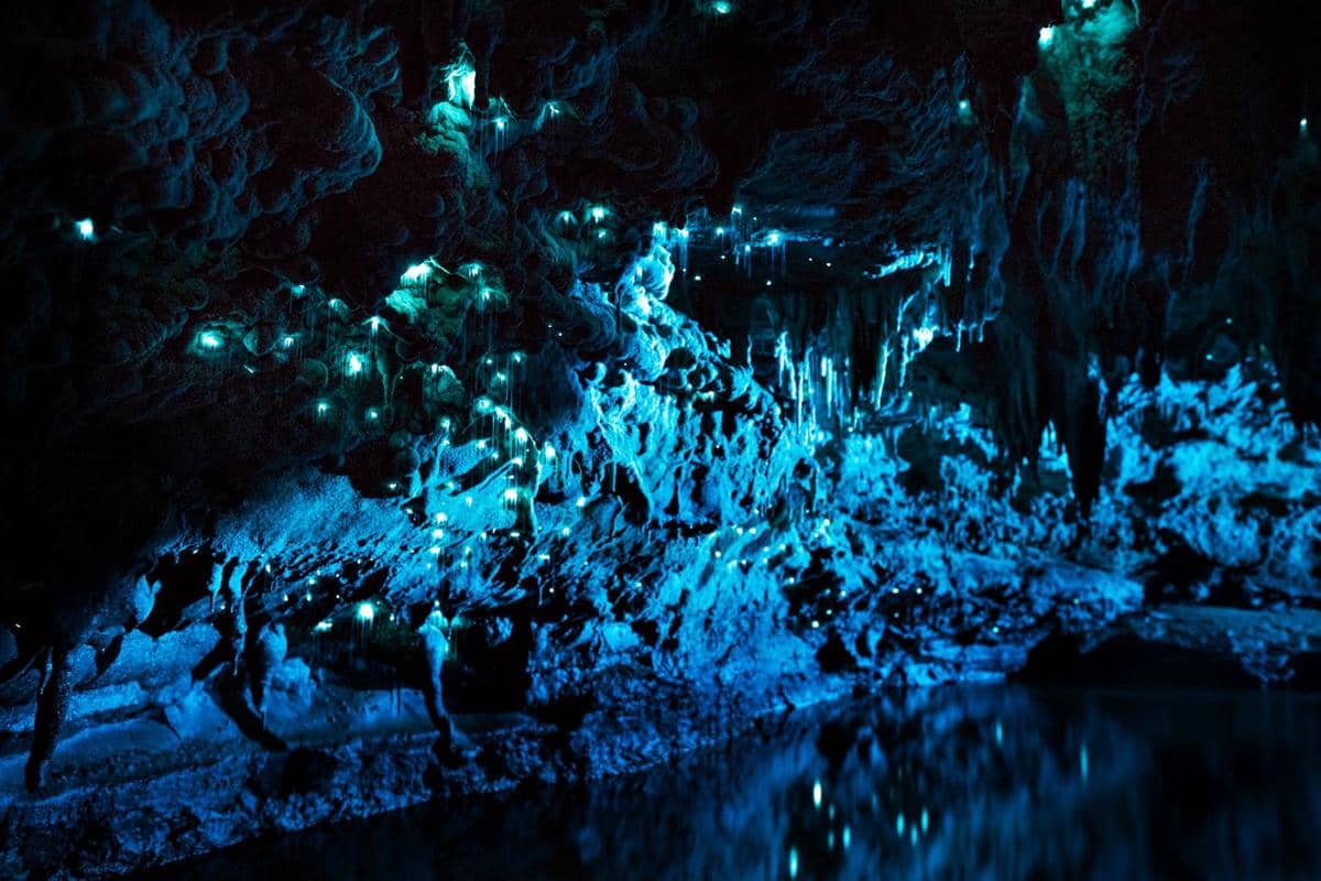 Gua Waitomo